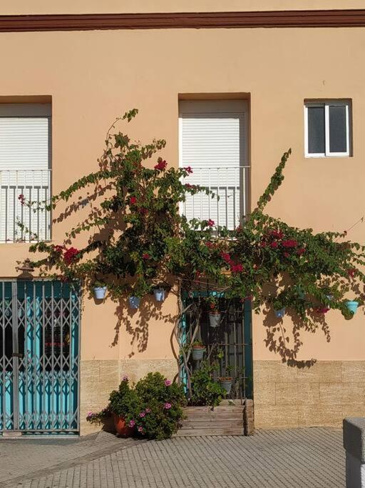 Apartamento Las Canastas Cadiz Centro Exterior foto